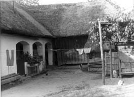eika image